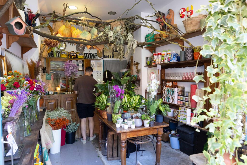 DEL BOSQUE por dentro