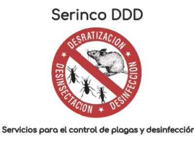 10844 SerincoDDD 01