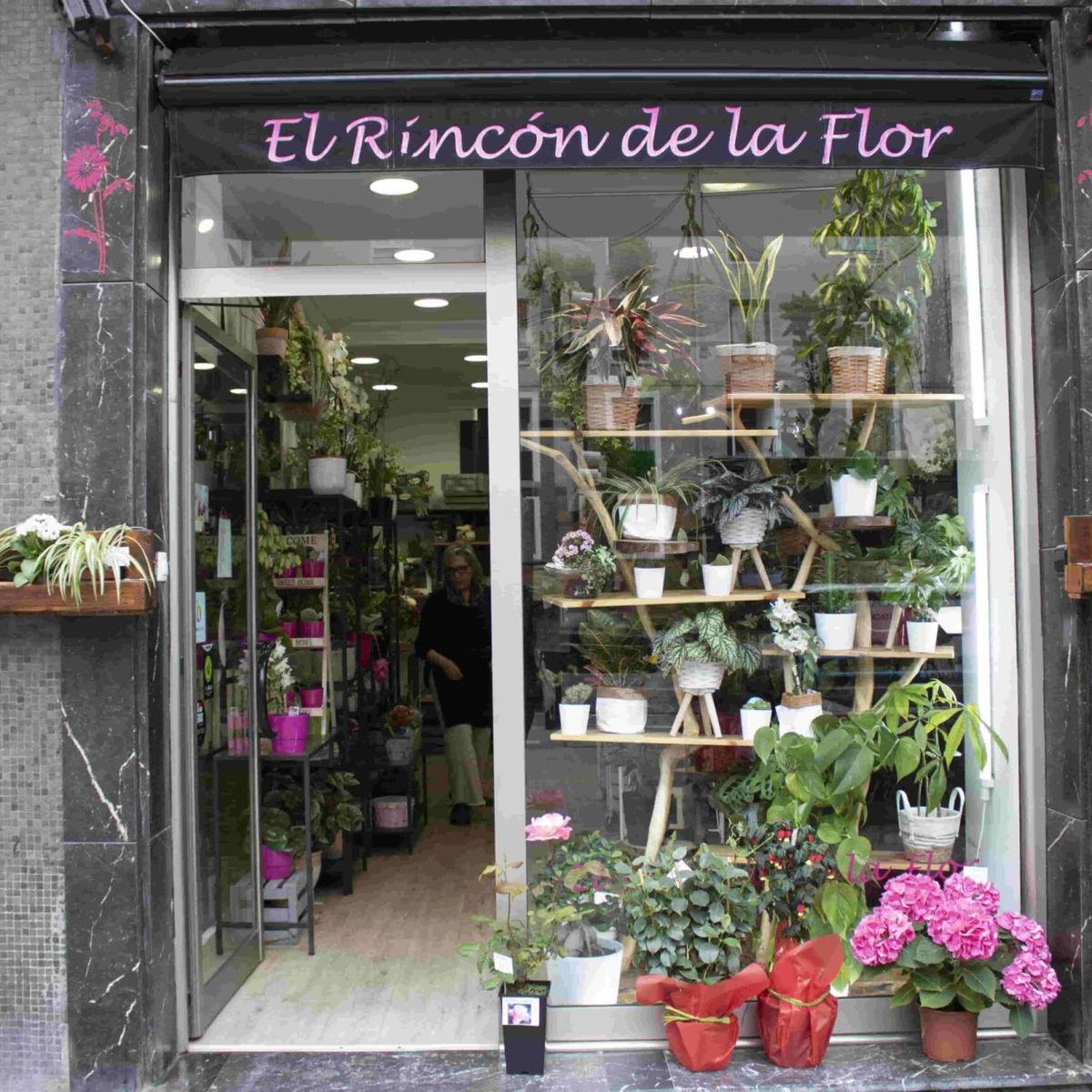 El rincon de la flor en San Ignacio (Bilbao)