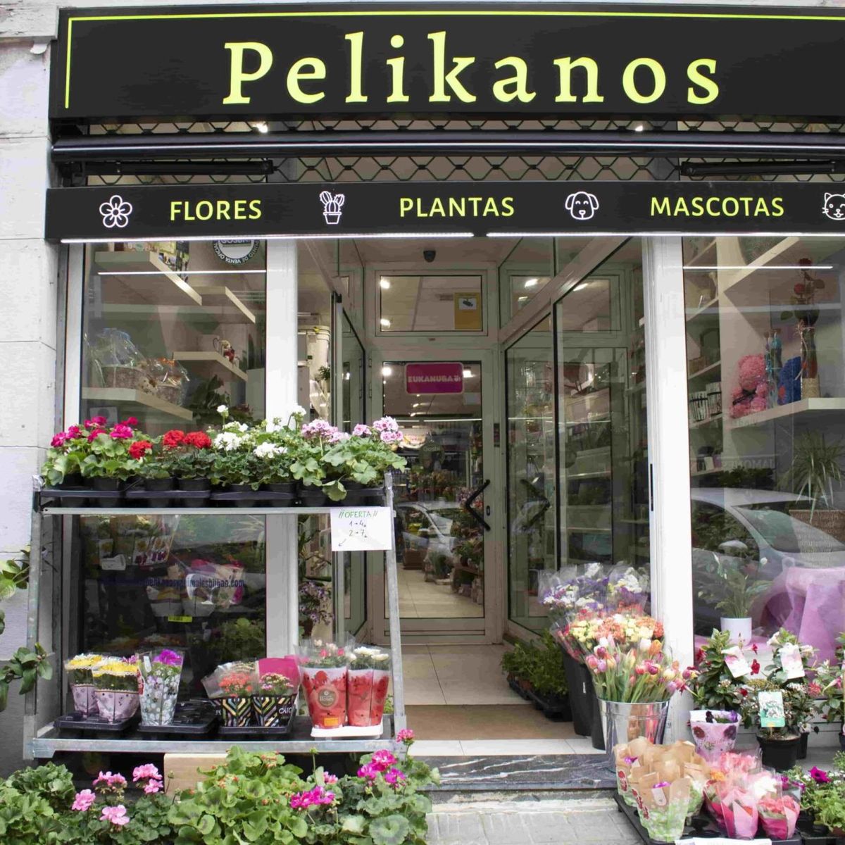 Pelikanos, plantas y animales en Bilbao