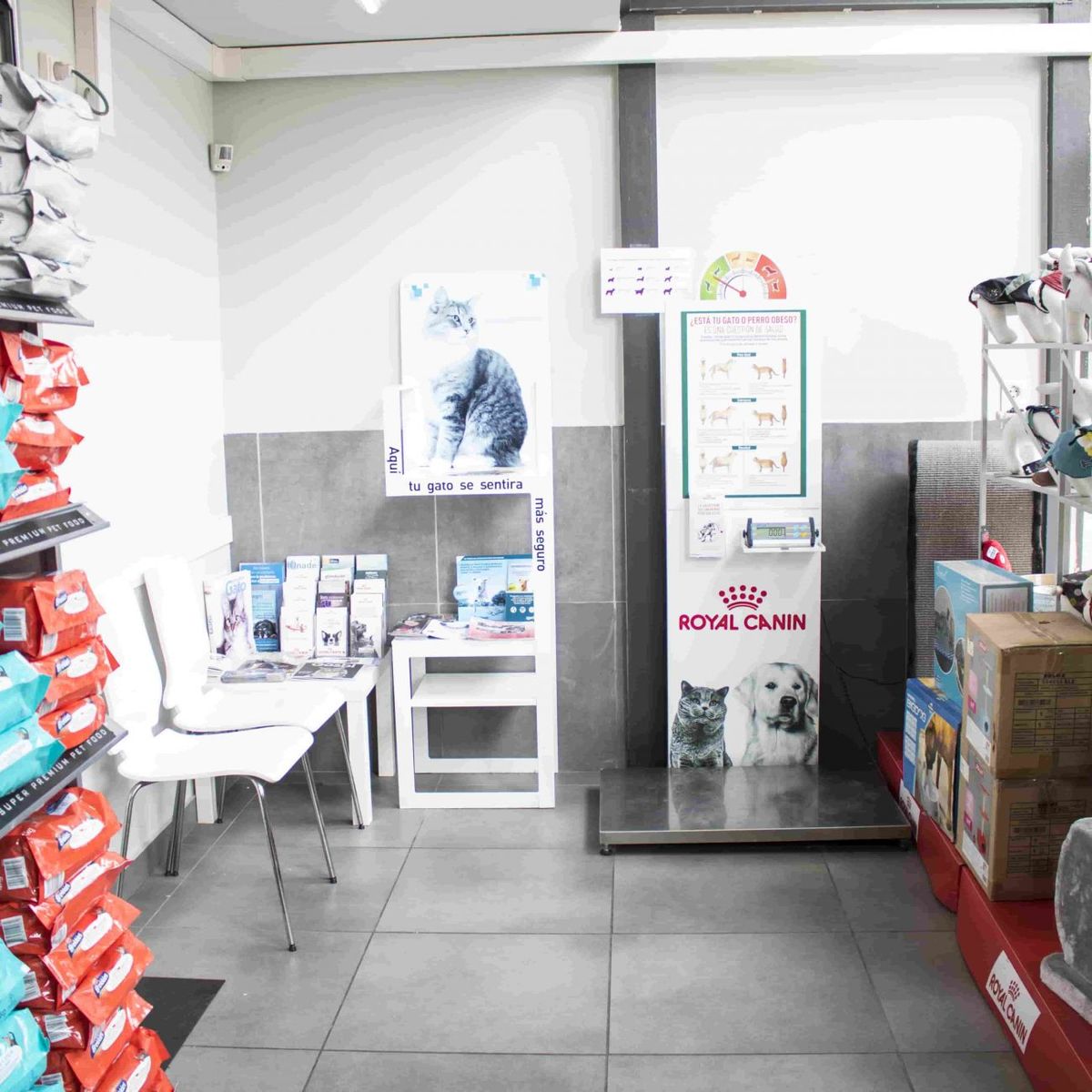 Green Pet, tienda de mascotas y clínica veterinaria en Basurto
