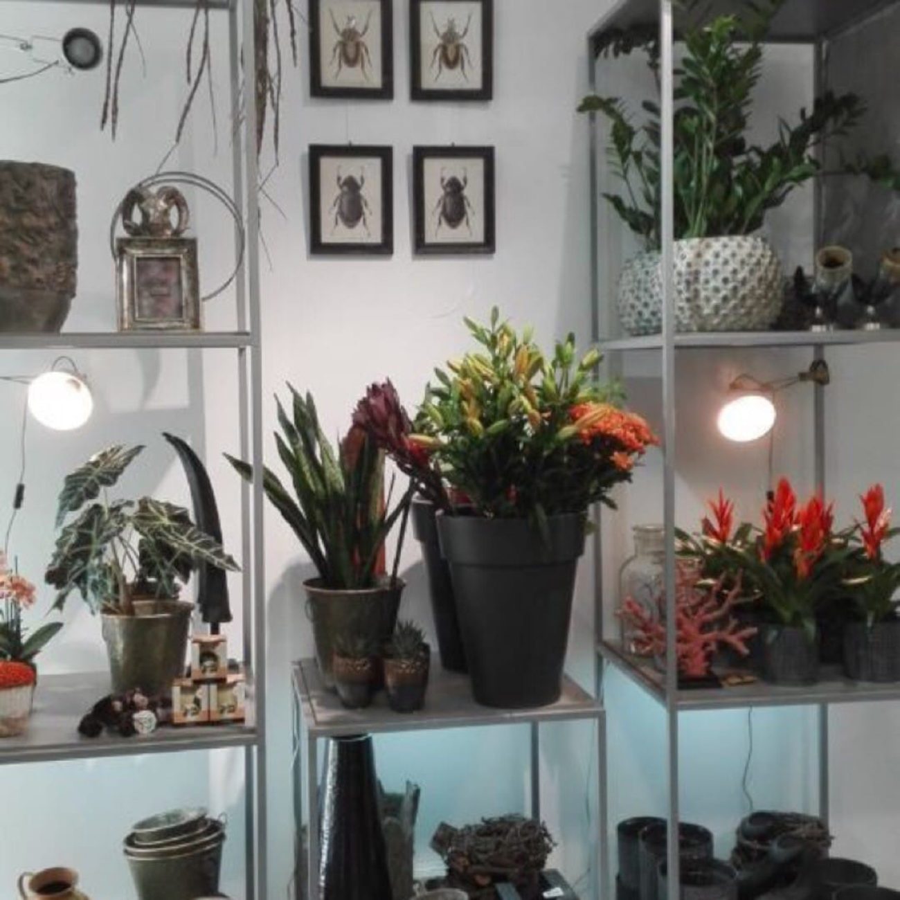 Floristería en Bilbao y envío de flores a domicilio