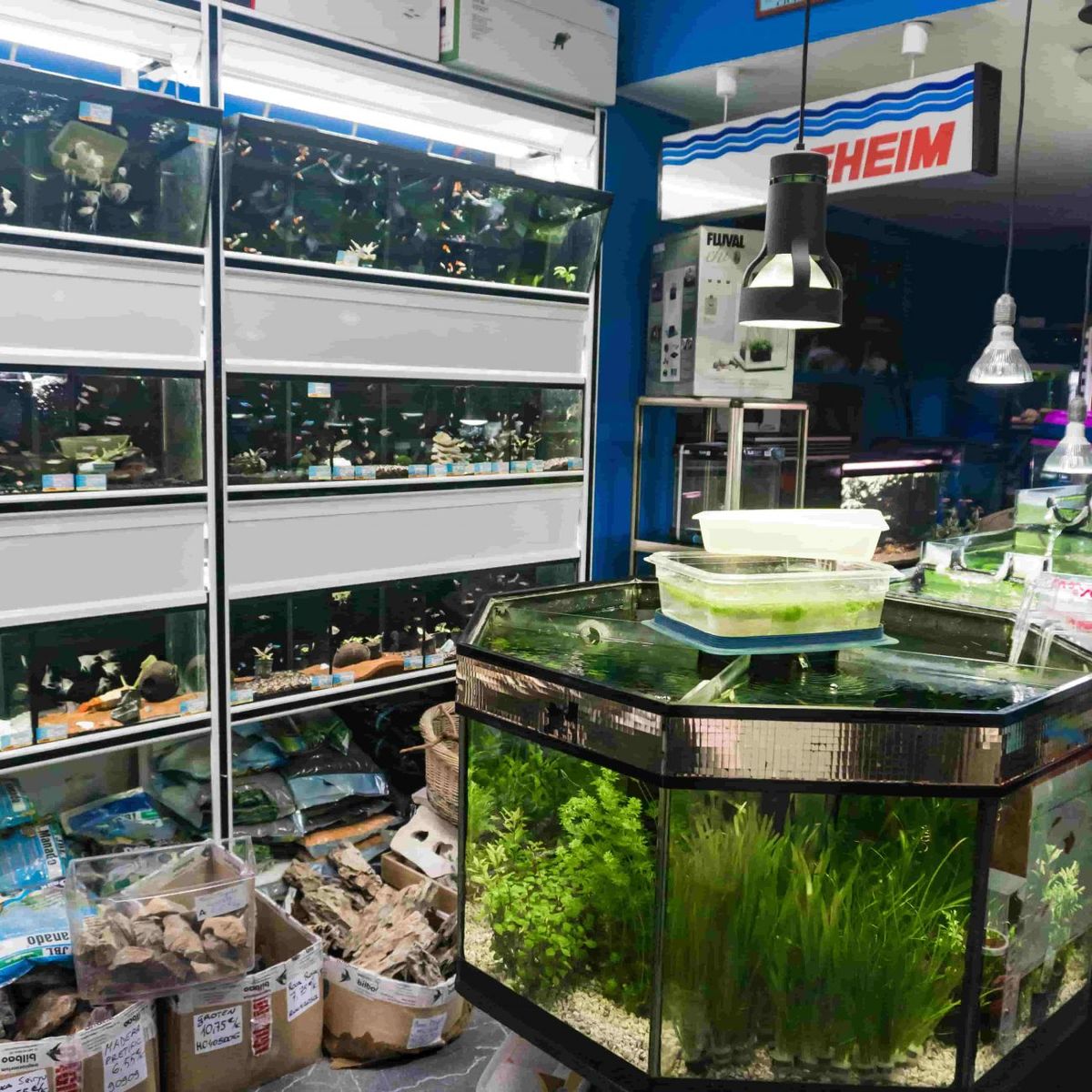 Tienda especializada en acuarios y peces tropicales