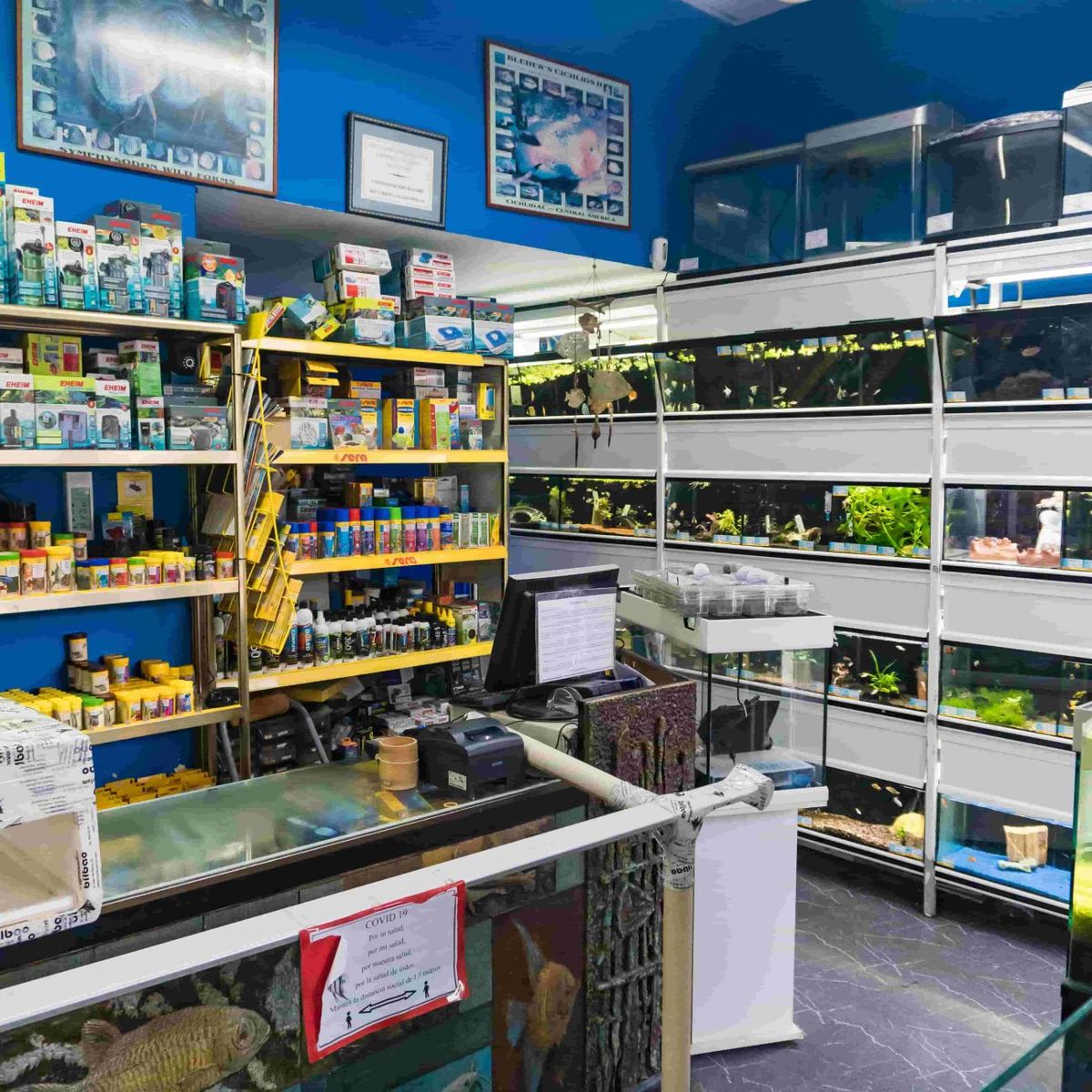 Tienda especializada en acuarios y peces tropicales