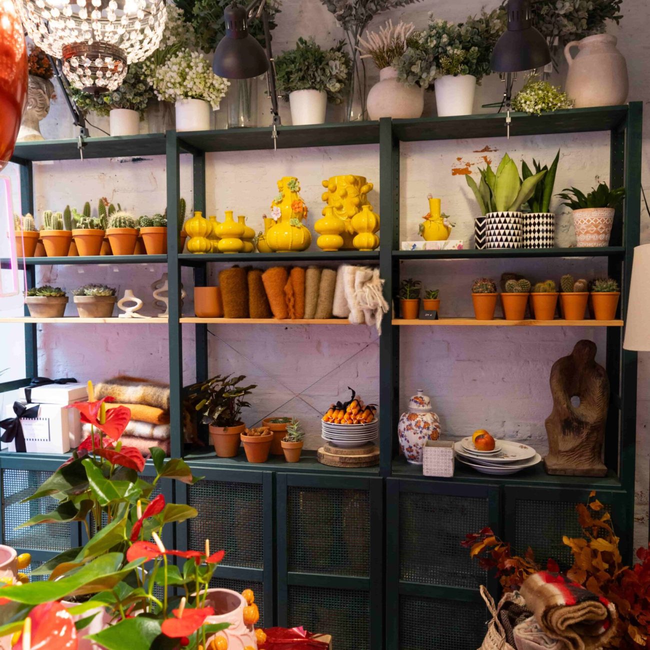 Flores para venus, floristería situada en Bilbao La Vieja