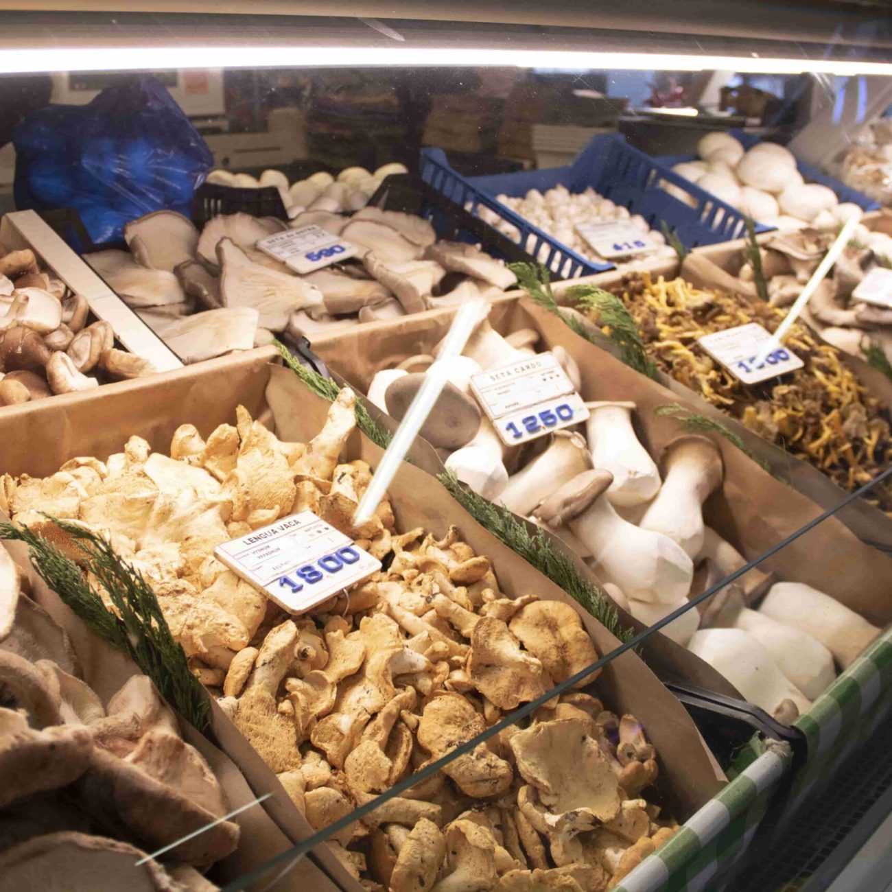 Setas y champiñones Espinosa Gago en el Mercado de la Ribera