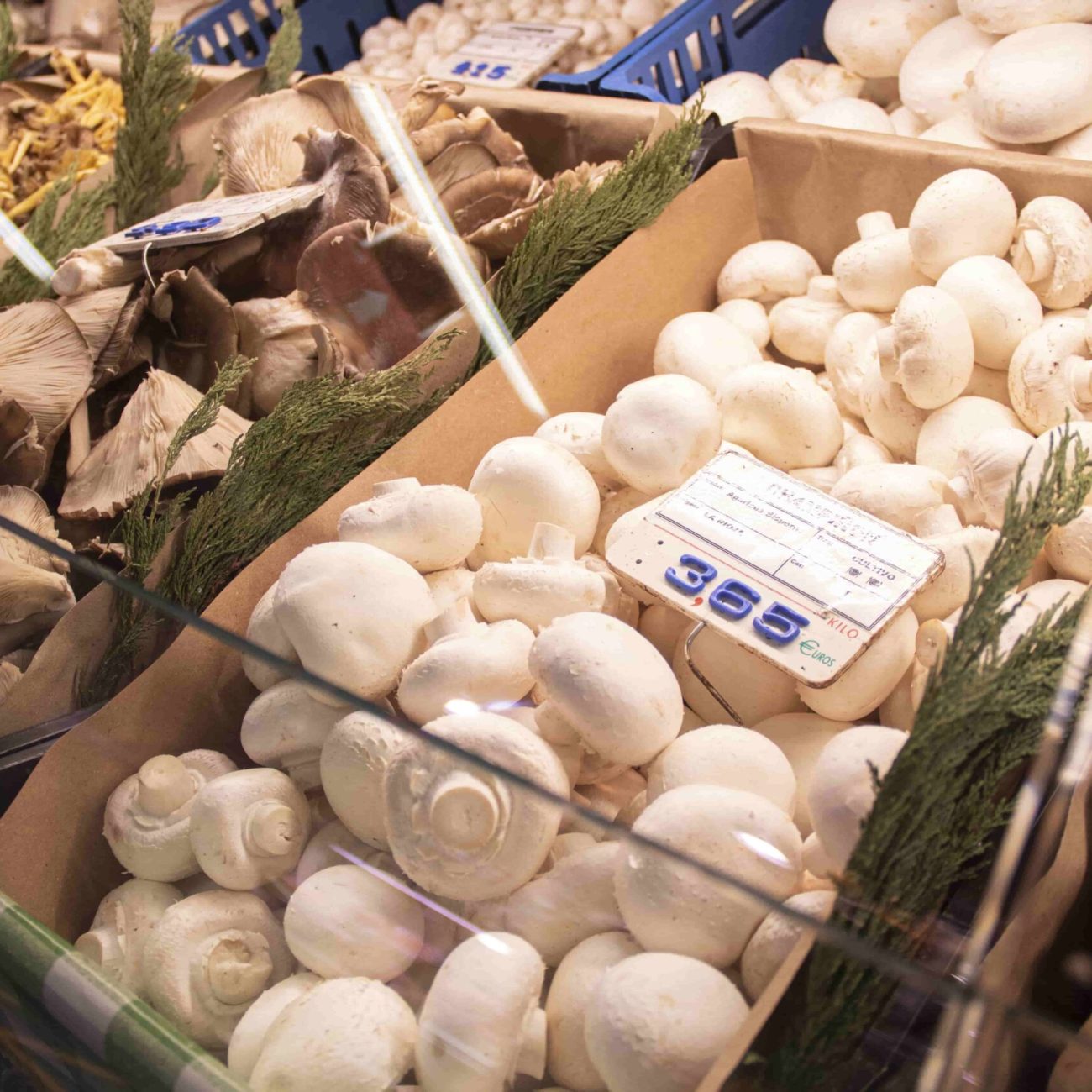 Setas y champiñones Espinosa Gago en el Mercado de la Ribera