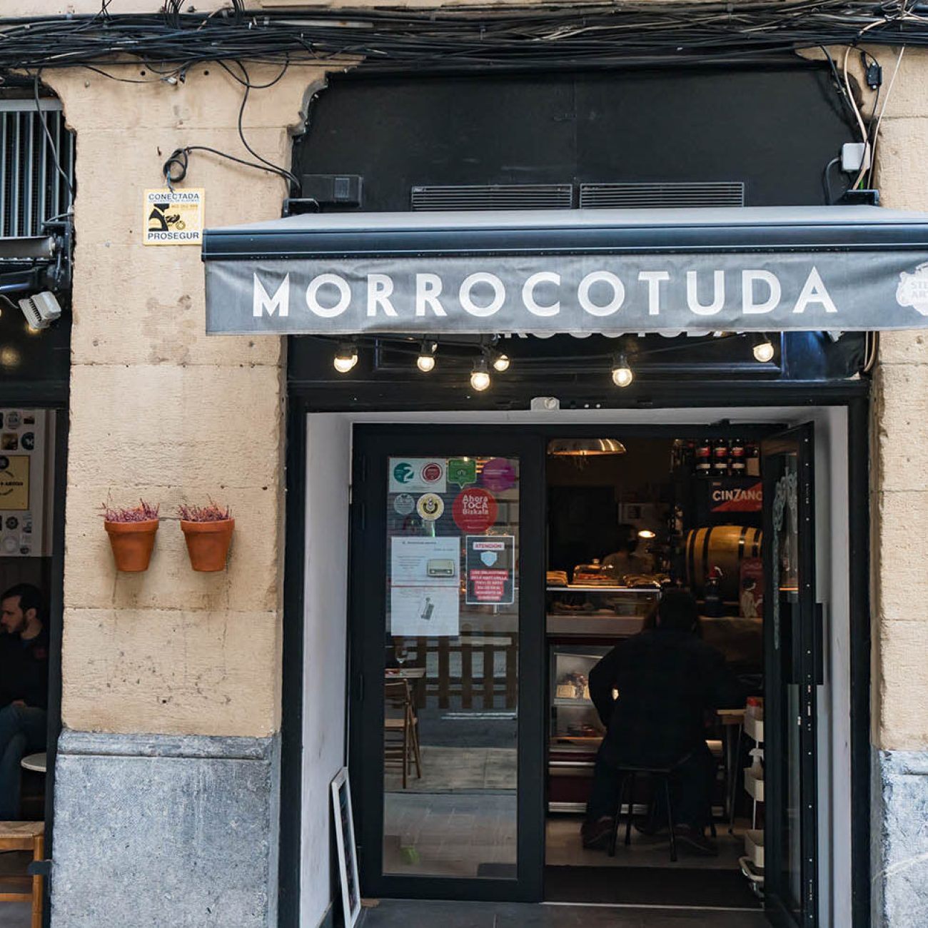 Morrocotuda