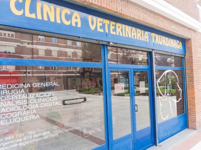 ClinicaVeterinariaTxurdinaga_baja3