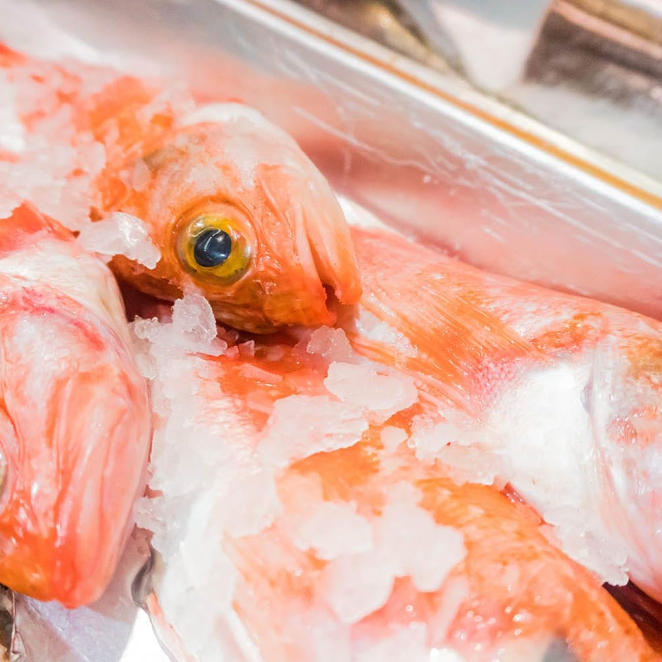 PESCADERIA PEÑA
