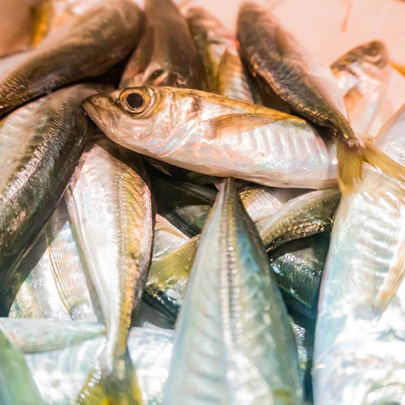 PESCADERIA PEÑA