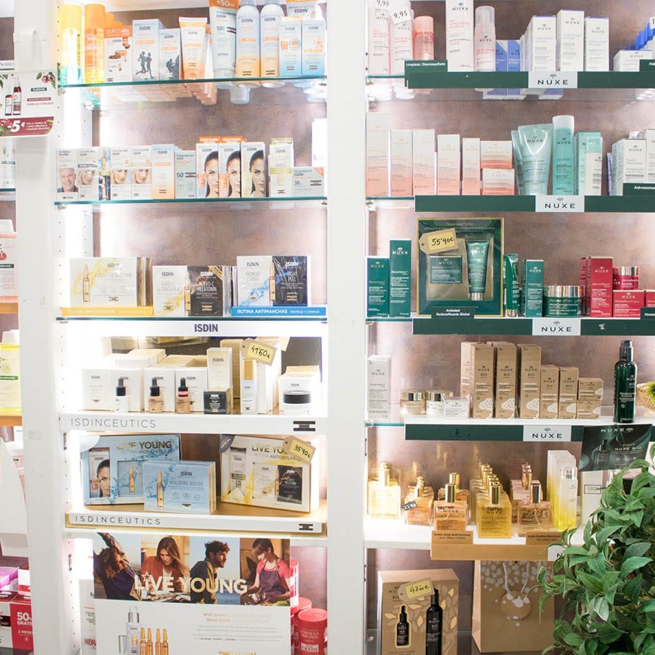 Farmacia María Feo Onzain