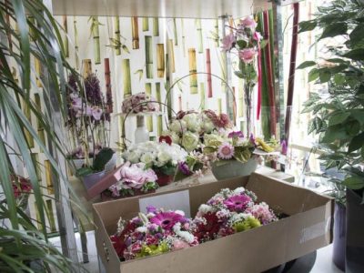 FLORISTERIA GAIARRE