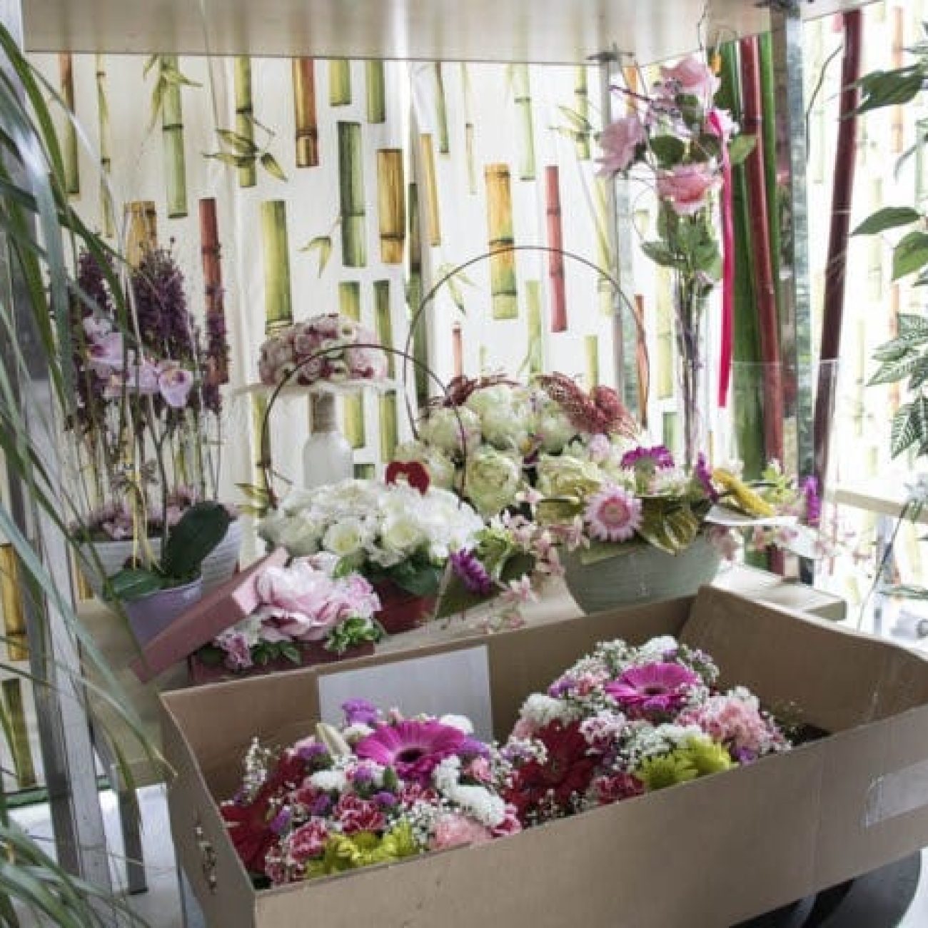 FLORISTERIA GAIARRE