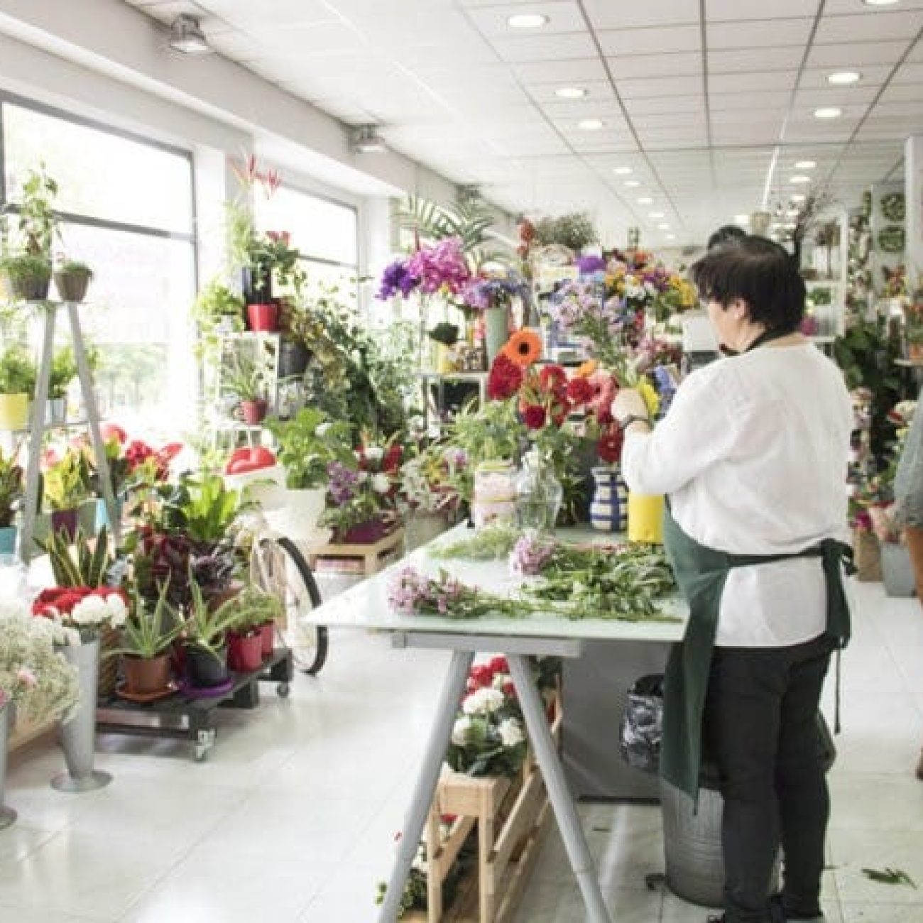 FLORISTERIA GAIARRE