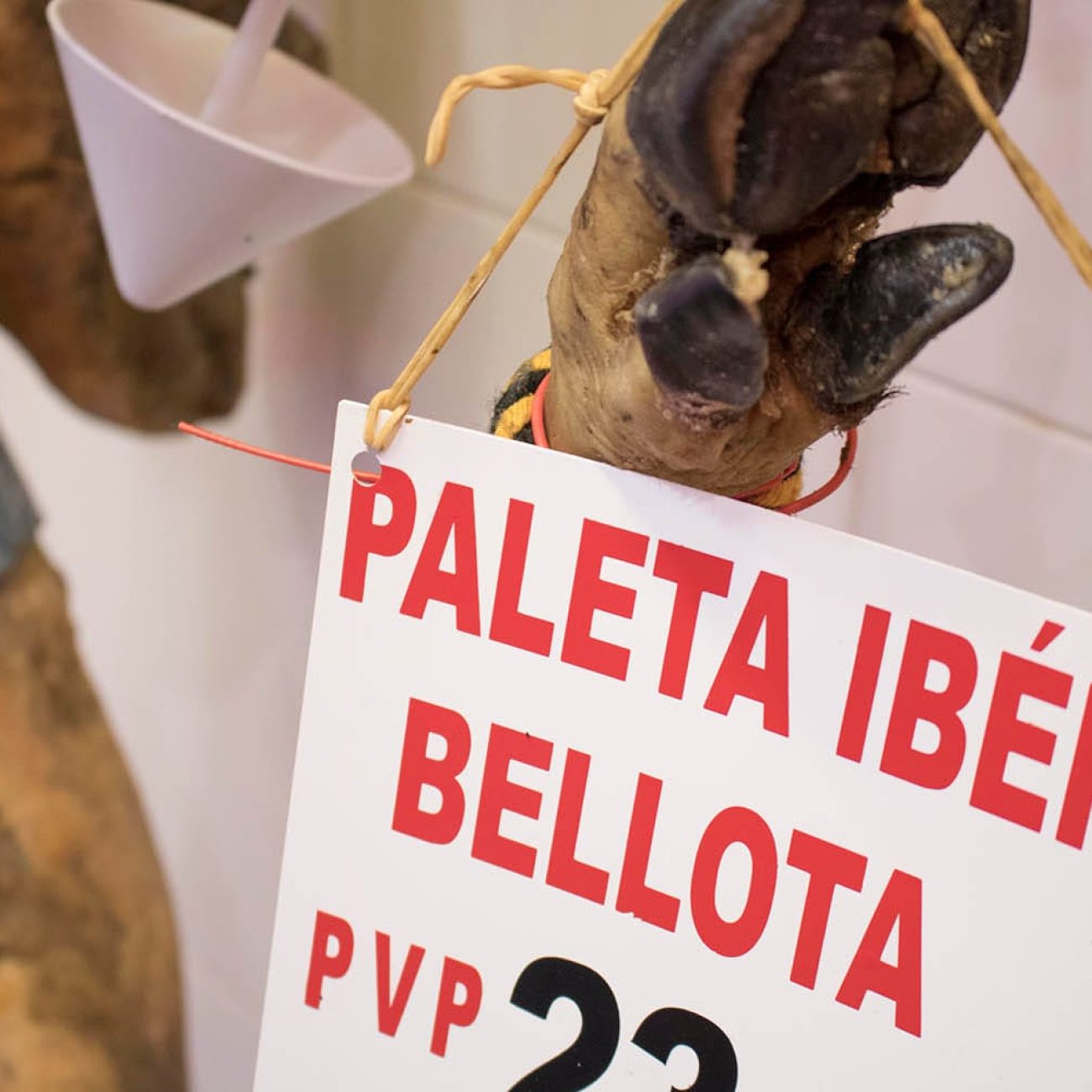 D'IBERICOS