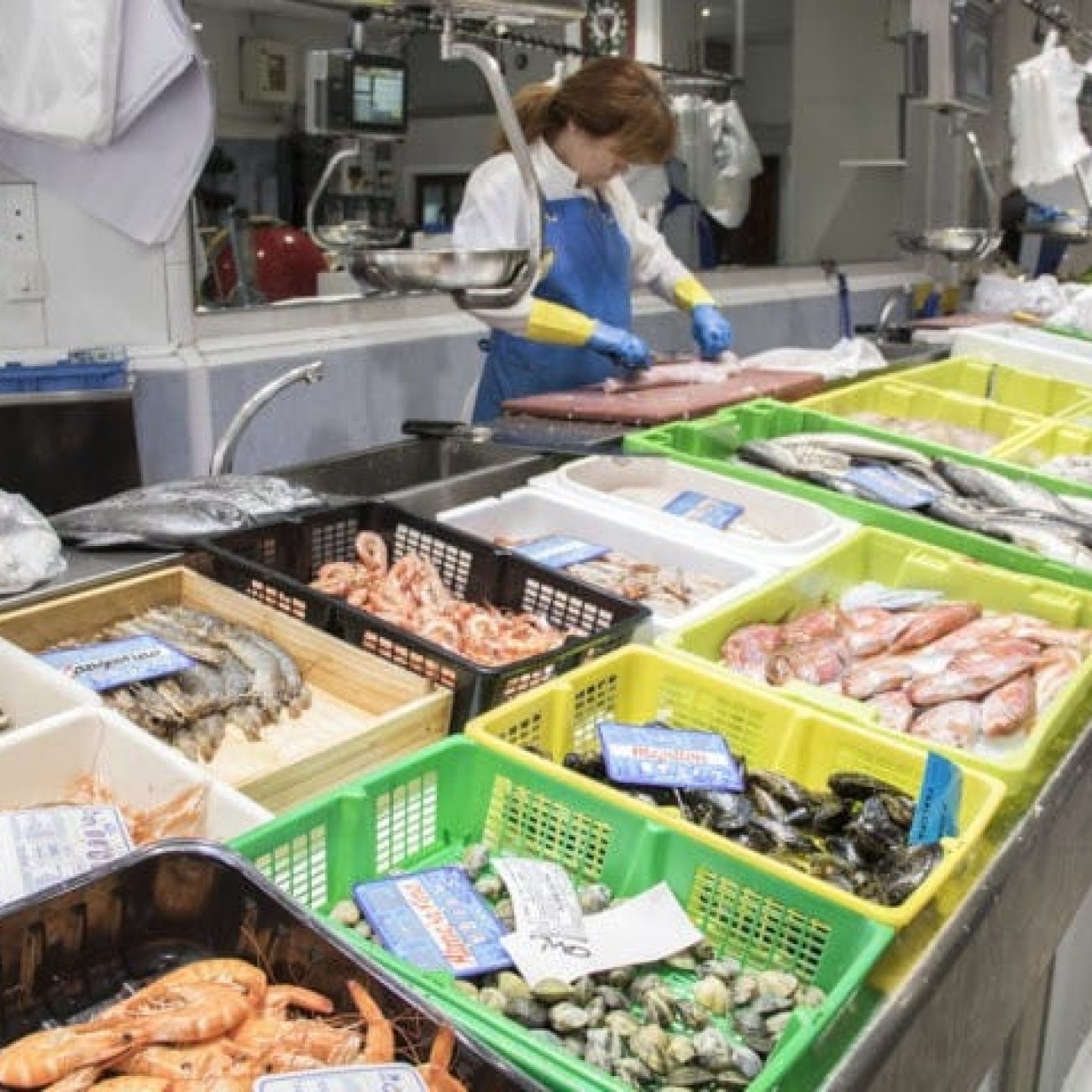 PESCADERIA KOLDO