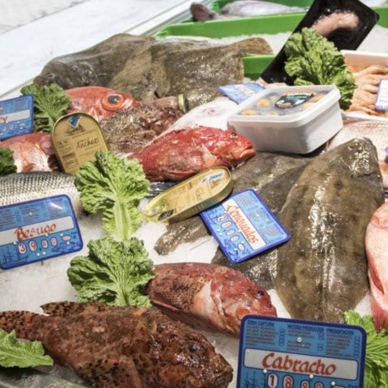 PESCADERIA KOLDO