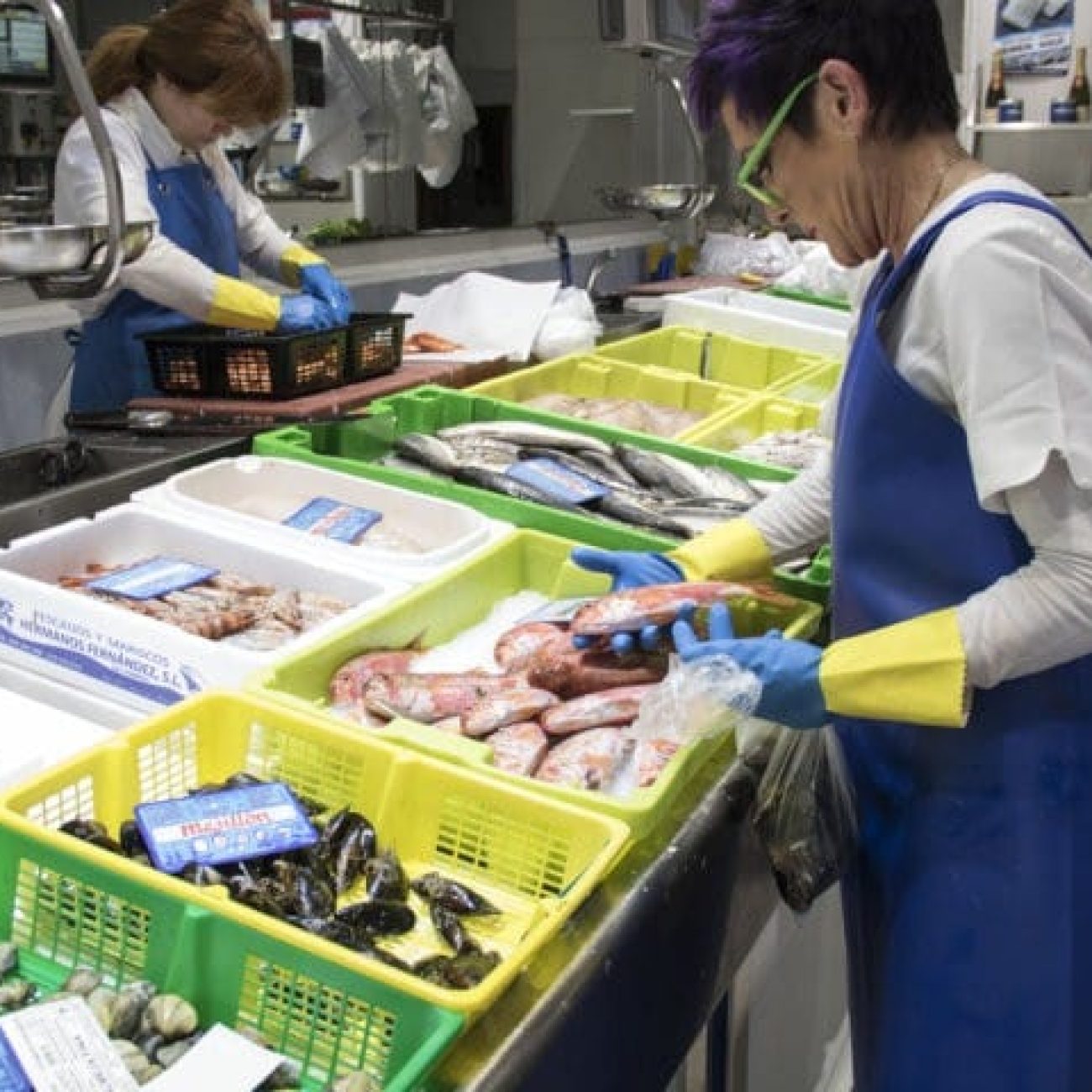 PESCADERIA KOLDO
