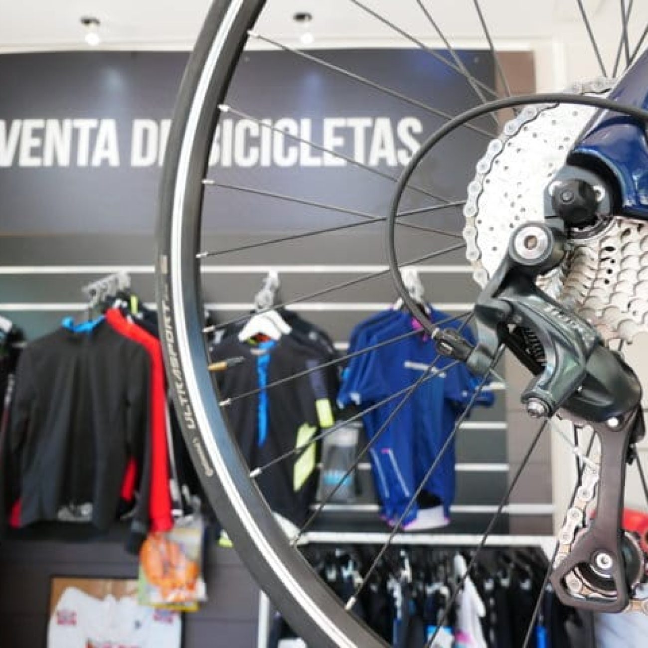 CICLOS DEUSTO